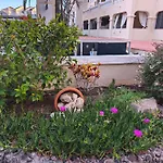 Dreams Castle * Los Cristianos (Tenerife)